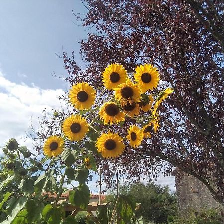 La Bernardiere Les Tournesols B&B 외부 사진