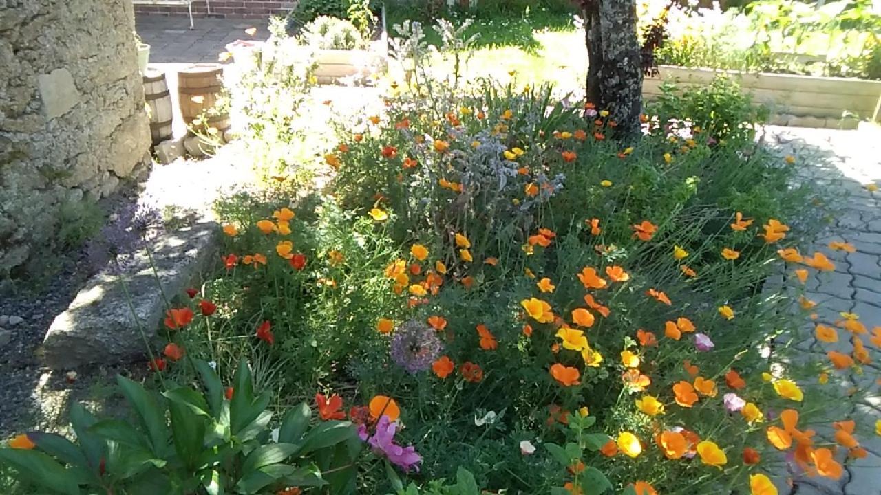 La Bernardiere Les Tournesols B&B 외부 사진
